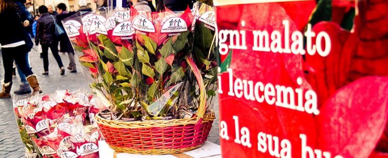 “Una stella per la vita” contro leucemie, linfomi e mieloma: tutti gli appuntamenti in Calabria