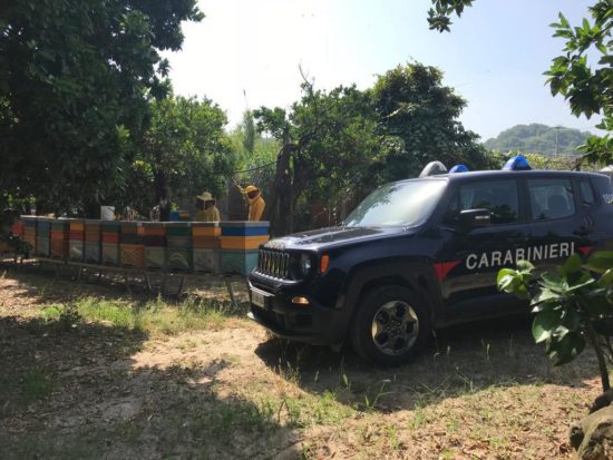 Sei apicoltori denunciati e multati dai Carabinieri forestali