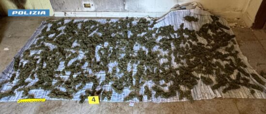 Otto chili di marijuana nascosti in casa: arresto nel Reggino